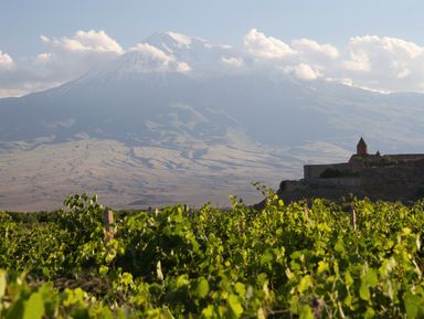 Тигран - гид в Ереване